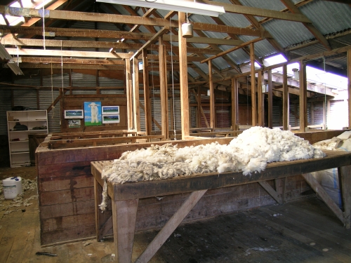 DSCN0451-thumber.jpg