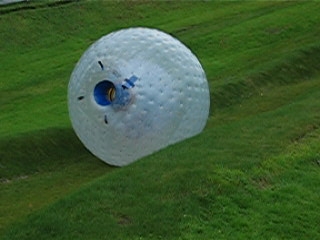 ZORB1-thumbz.jpg